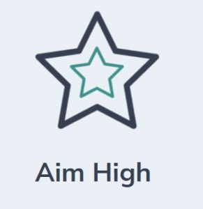 FSR Values Aim High