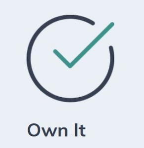 FSR Values Own It